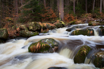 mountain river in forest