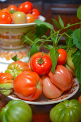 The tomato (Solanum lycopersicum)
