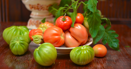 The tomato (Solanum lycopersicum)