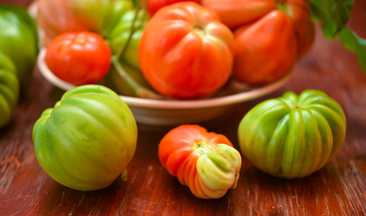 The tomato (Solanum lycopersicum)