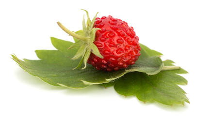 Wild strawberry isolated on white background