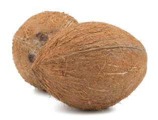 Coconuts isolated on white background