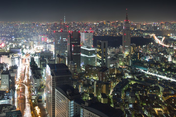 Fototapeta na wymiar Tokyo by Night