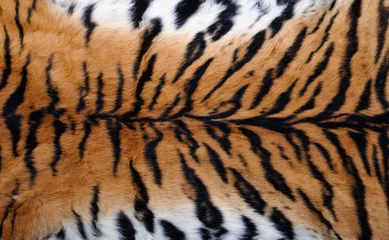 Zelfklevend Fotobehang close up tiger skin texture © IgorCheri