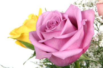 Naklejka premium Pink Rose