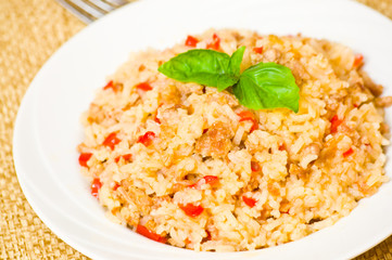 rice with minced meat