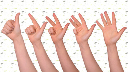 daumen hoch - hände zeigen