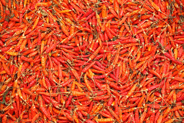 dry red chilli
