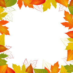 Fallvector leaf border