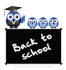 Back to school message on blackboard