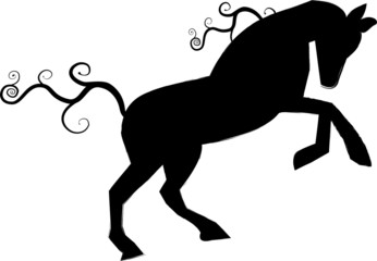 cavallo © zarasia71