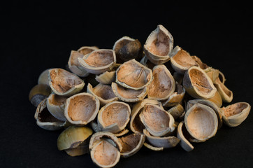 Handful of whole hazel nuts shels isolated