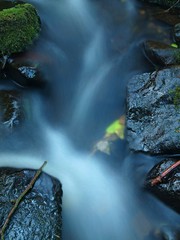 Thin twig from aspen tree on basalt boulder in blurred stream.