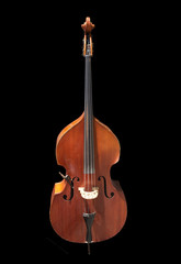 Fototapeta premium cello on a black background