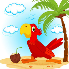 parrot on beach - vector illustration