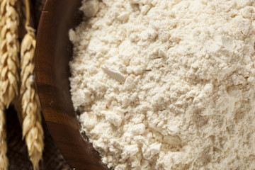 Organic Whole Wheat Flour