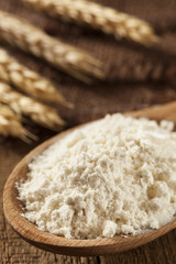 Fototapeta na wymiar Organic Whole Wheat Flour