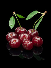 Seven berries of a cherry on a green small stalk