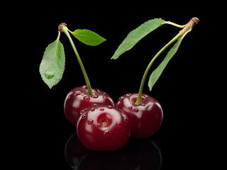 Three berries of a cherry on a green small stalk