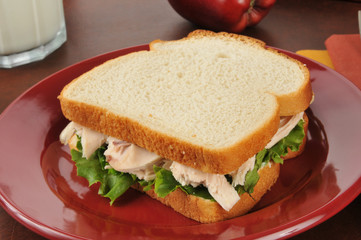 Chicken sandwich closeup