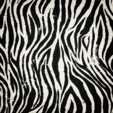 Vintage zebra pattern © marchello74