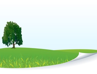 Obraz premium Fresh green meadow with grass and tree. Vector background.