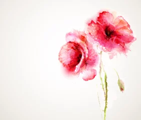 Fototapete Abstrakte Blumen Die zwei blühenden roten Mohnblumen. Grußkarte.