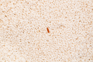 1 red rice in withe rice