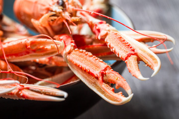 Closeup of cooked scampi with pincers