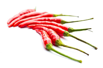 Red peppers on a white background