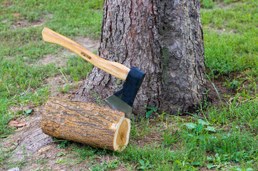 ax stuck into timber