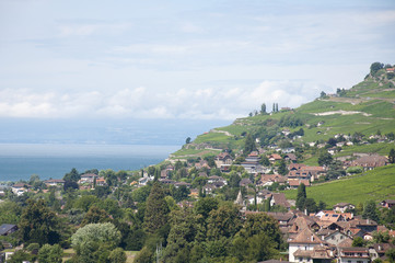 Houses amidst vineyards by Lake Geneva in Vevey, Switzerland