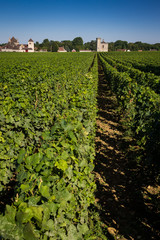 Obraz premium clos bourguignon