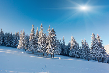 winter