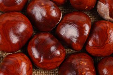 Background of sweet chestnuts