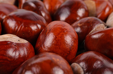 Whole fresh chestnuts