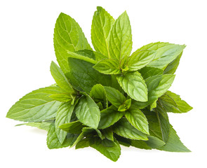 a bunch of mint on white background