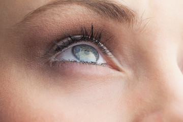 Fototapeta na wymiar Extreme close up on beautiful blue eye