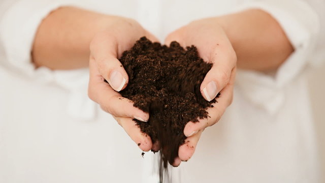 Hands holding black Soil