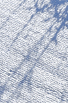 Schneespuren 037584