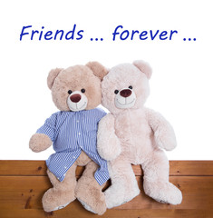 Freundschaft - Konzept - Liebespaar - Teddybären isoliert