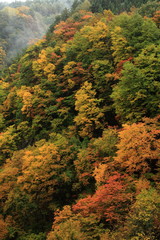 紅葉の松川渓谷