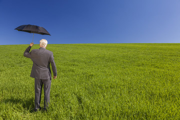 Naklejka na ściany i meble Businessman In A Green Field With An Umbrella