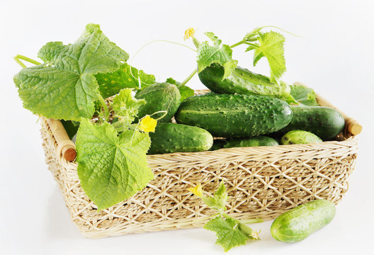 Fresh cucumbers in a basket against light background