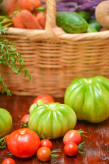 The tomato (Solanum lycopersicum)