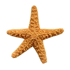 Isolation Of A Starfish With Clipping Path © Mr Doomits