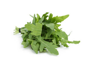 tied bunch of fresh arugula