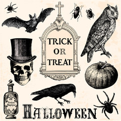 Fototapeta premium Trick or treat - halloween elements