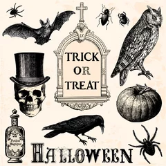 Tuinposter Trick or treat - halloween elements © lynea