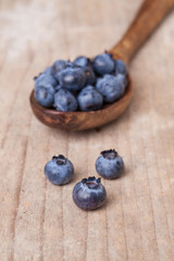 Fresh juicy blueberry fruits on a wooden spoon